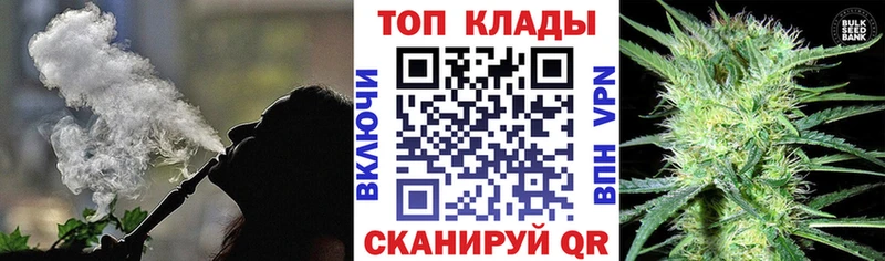 Виды наркотиков купить Сосновый Бор Codein  А ПВП  Гашиш  МЕТАДОН  Мефедрон  Бошки Шишки 