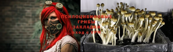 дурь Алексин