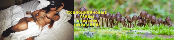 ECSTASY Алексеевка