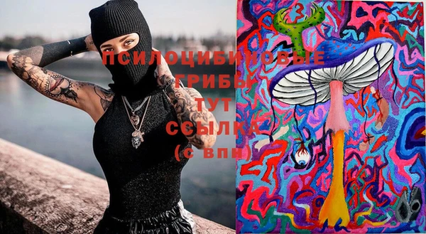 ECSTASY Алексеевка