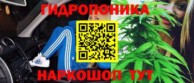 ГАЛЛЮЦИНОГЕННЫЕ ГРИБЫ Свободный