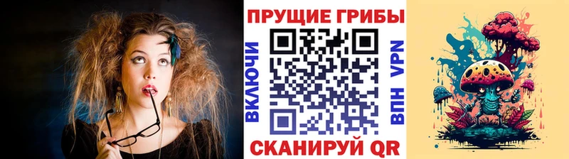 гидра как зайти  darknet как зайти  Галлюциногенные грибы Psilocybine cubensis  купить   Сосновый Бор 